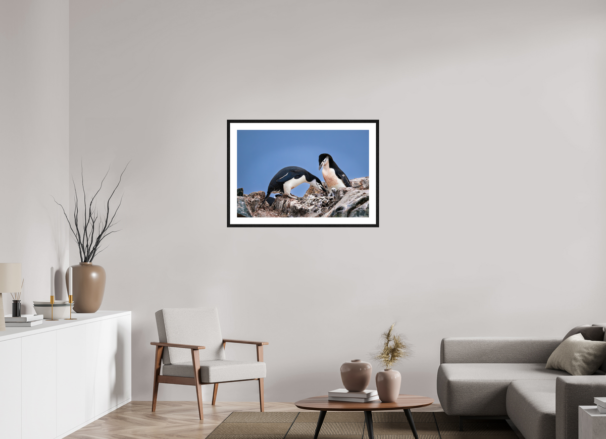 36 x 24″, Glossy Print (Framed) A6