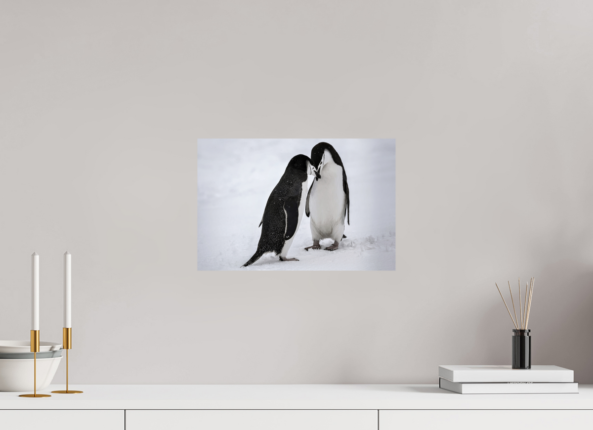 15 x 10″, Glossy Print (Unframed) A5