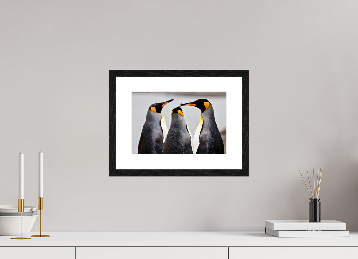 12 x 8″, Glossy Print (Framed) A12