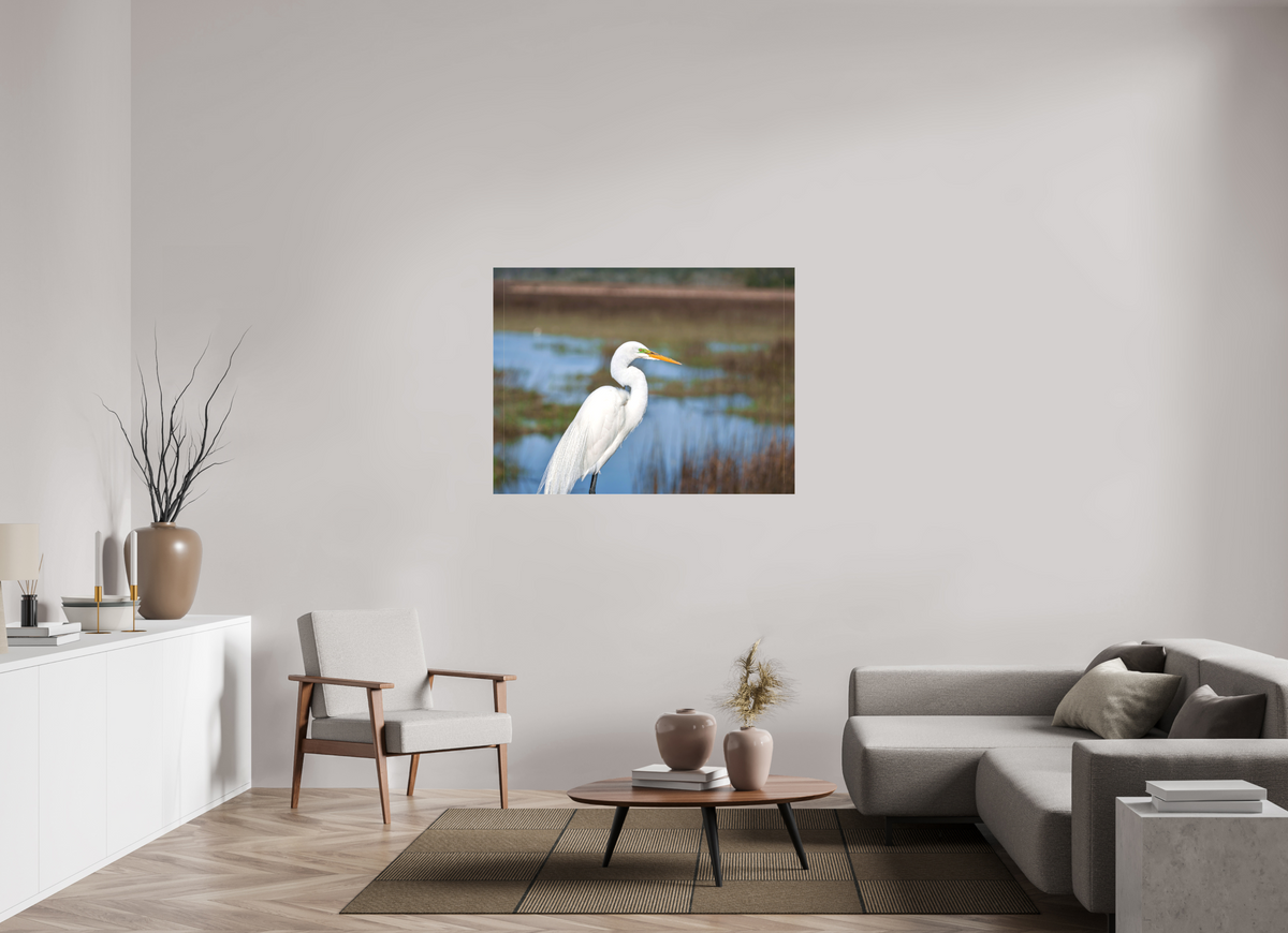 48 x 36″, Canvas Print A Great Egret