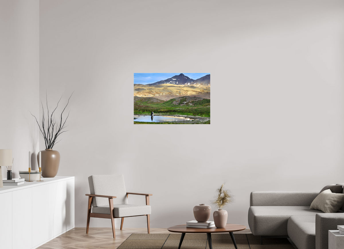36 x 24″, Canvas Print A21