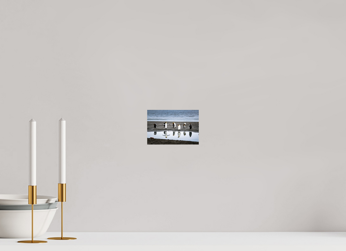 6 x 4″, Glossy Print (Unframed) A10