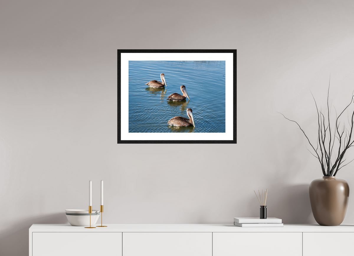 24 x 18″, Glossy Print (Framed) Triple Brown Pelican