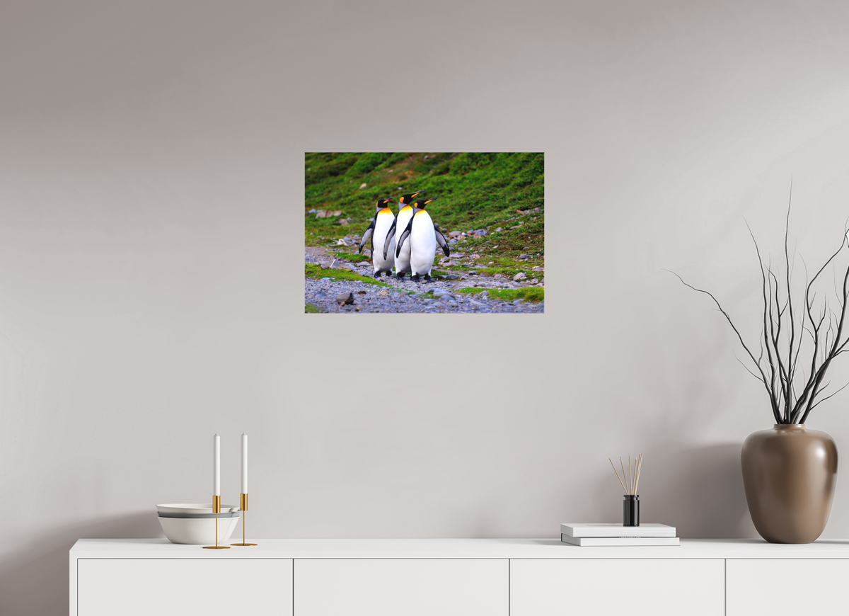 24 x 16″, Canvas Print A18