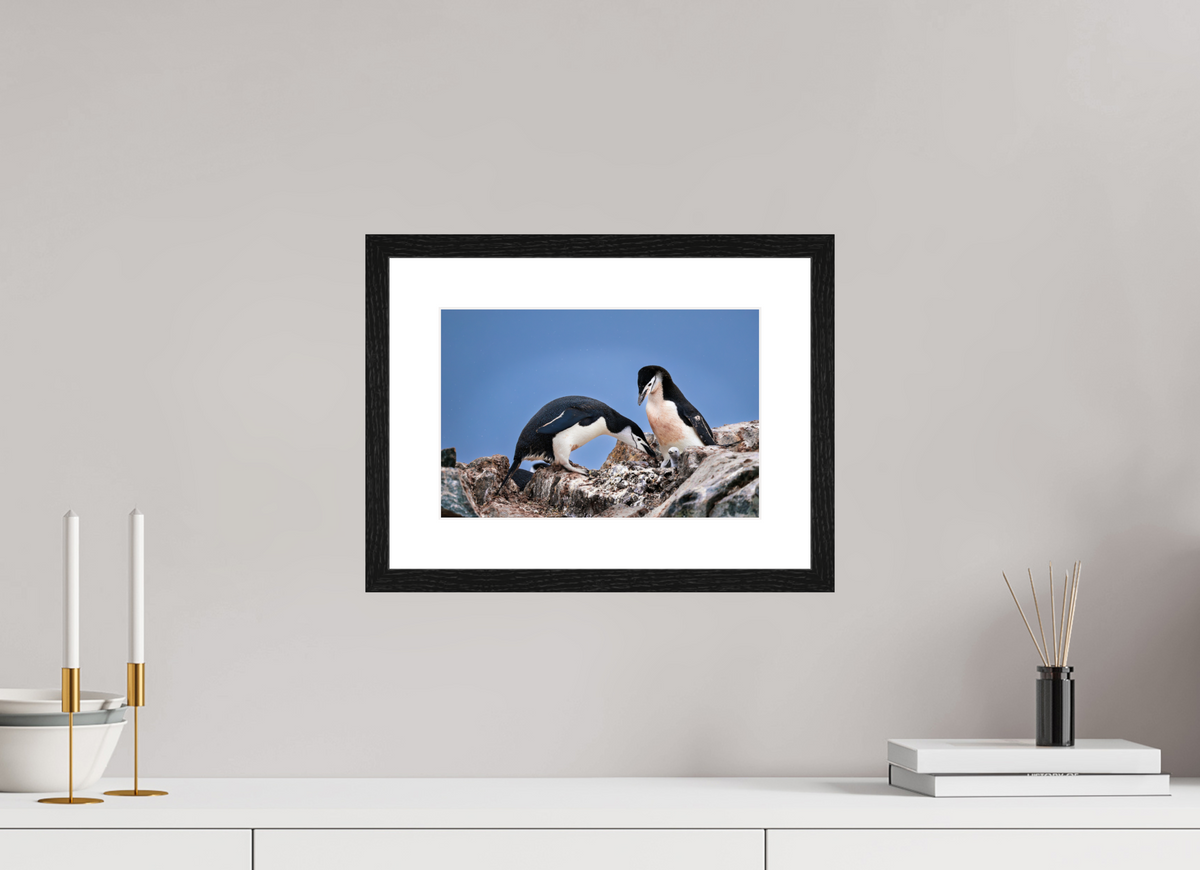 12 x 8″, Glossy Print (Framed) A6