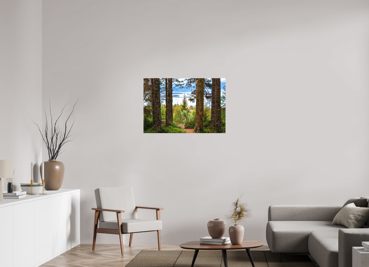 36 x 24″, Canvas Print Norway5