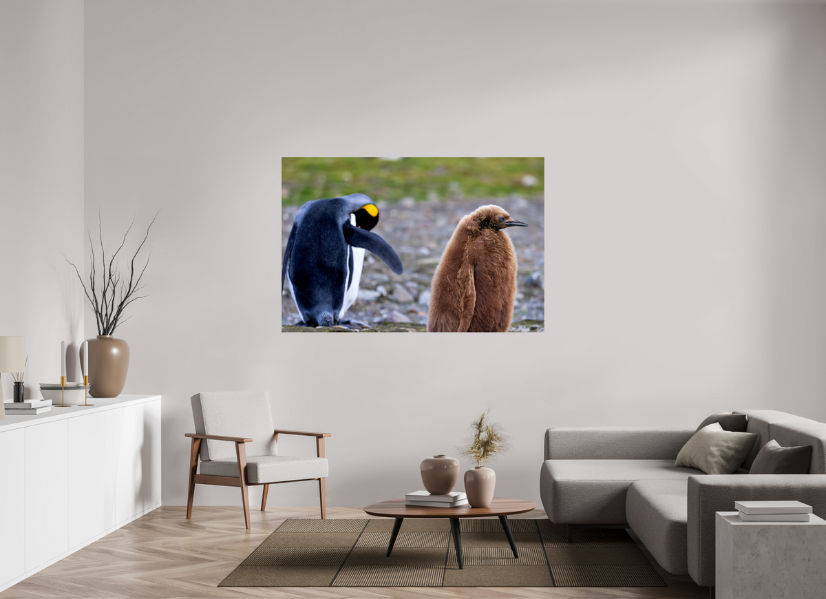 66 x 44″, Glossy Print (Unframed) A19