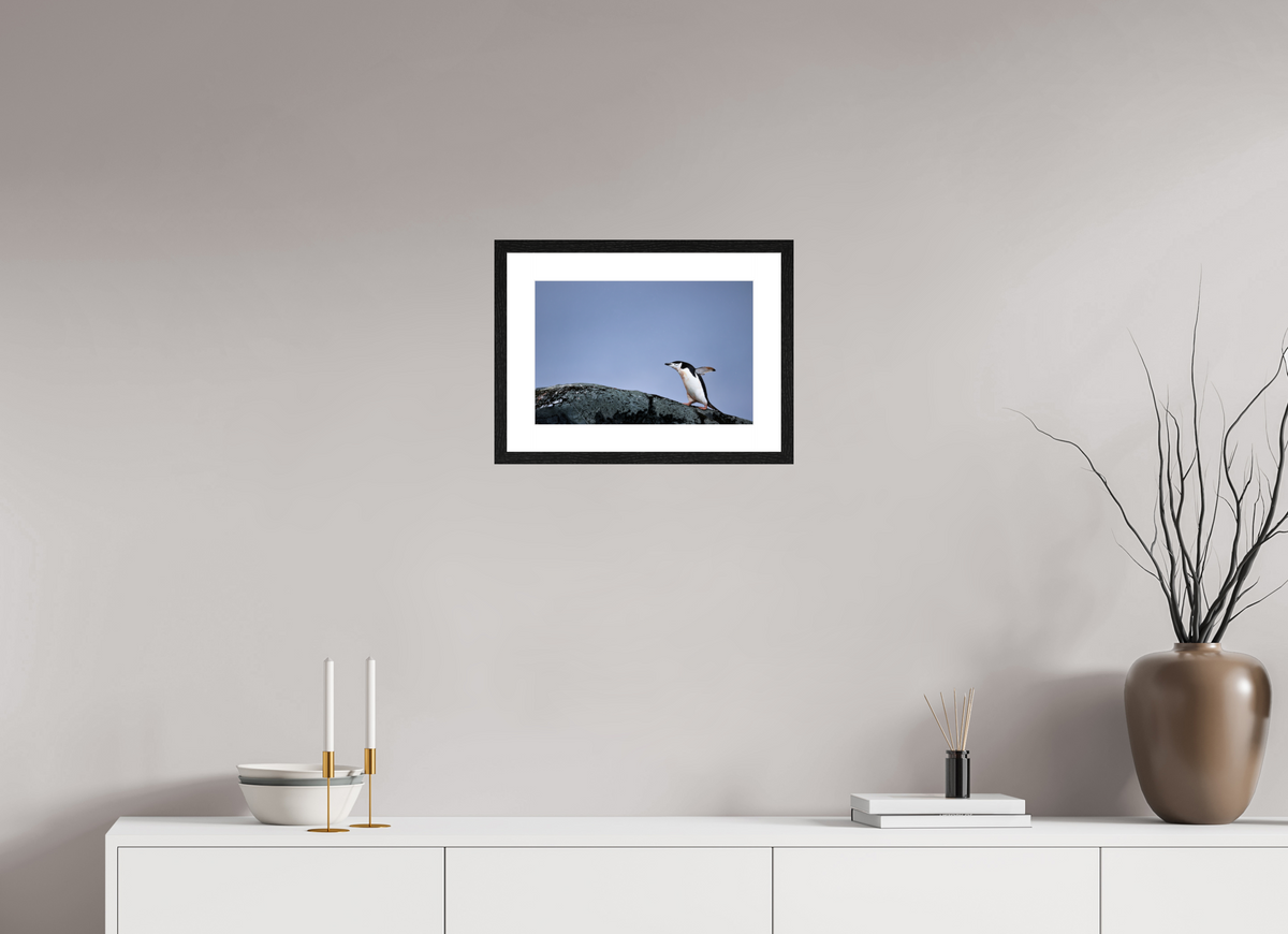 15 x 10″, Glossy Print (Framed) A7