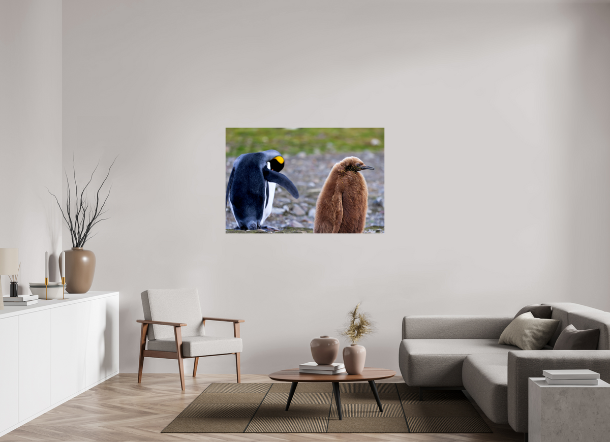 54 x 36″, Glossy Print (Unframed) A19