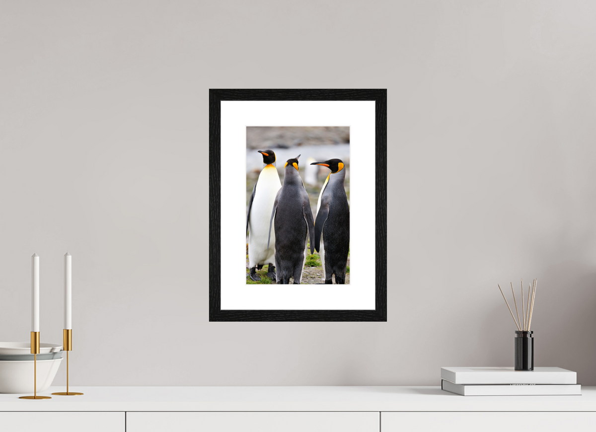 8 x 12″, Glossy Print (Framed) A13