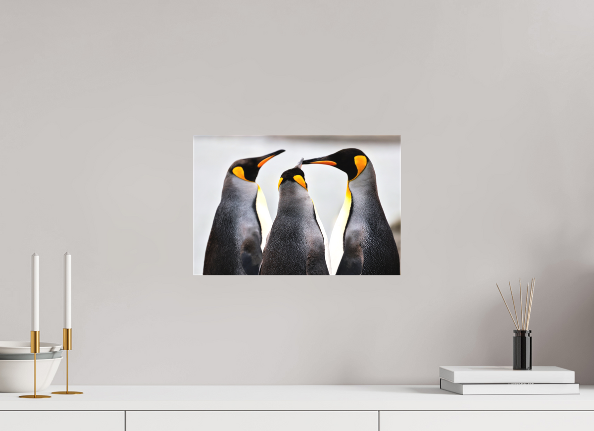 15 x 10″, Canvas Print A12