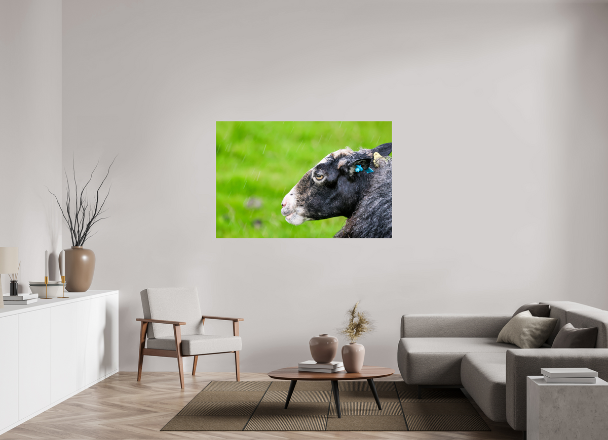 60 x 40″, Glossy Print (Unframed) Norway14