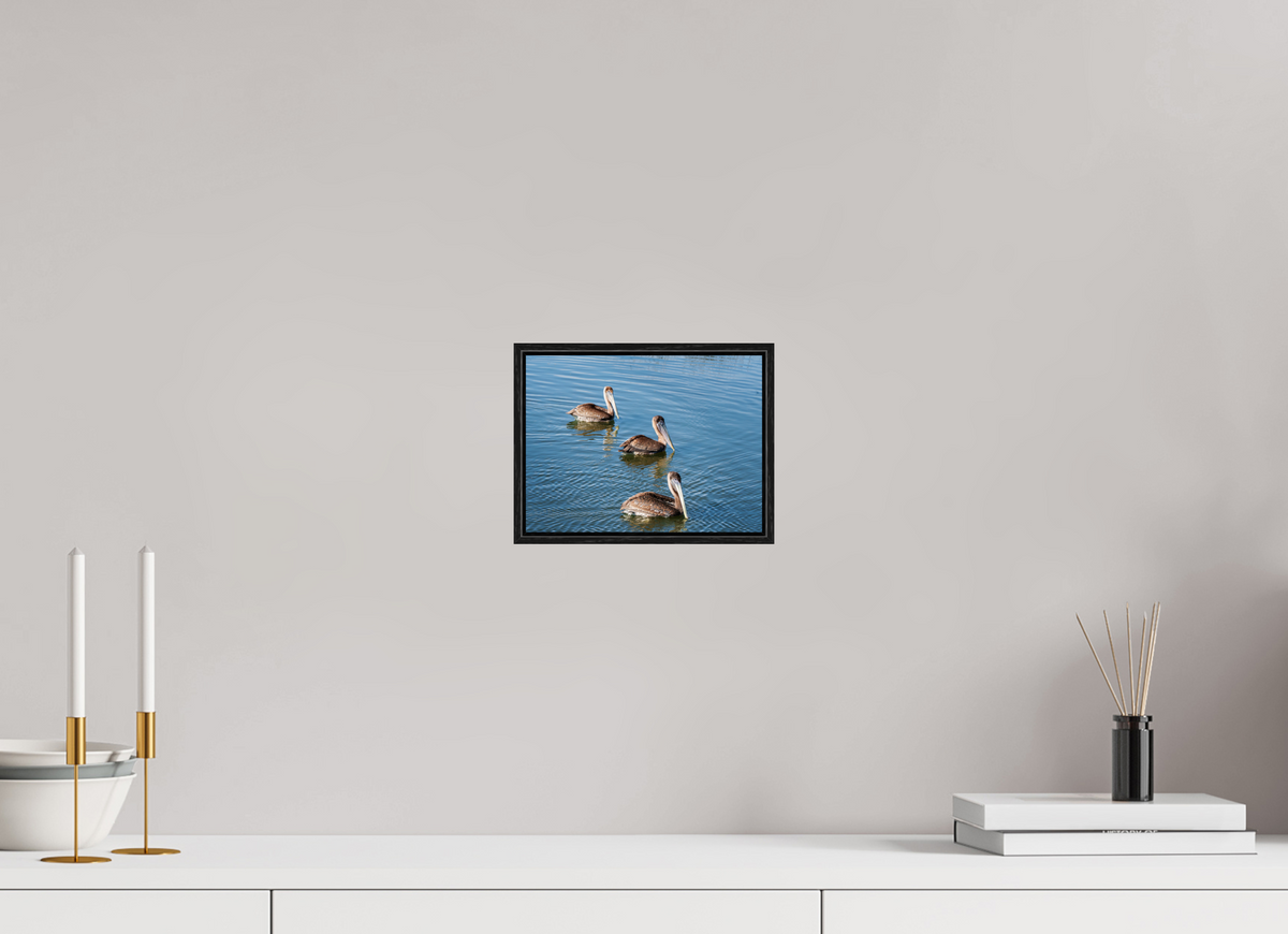 8 x 6″, Acrylic under Glass (Framed) Triple Brown Pelican