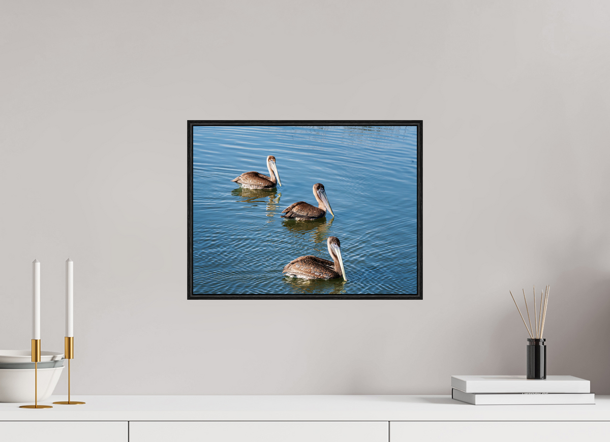 16 x 12″, Acrylic under Glass (Framed) Triple Brown Pelican