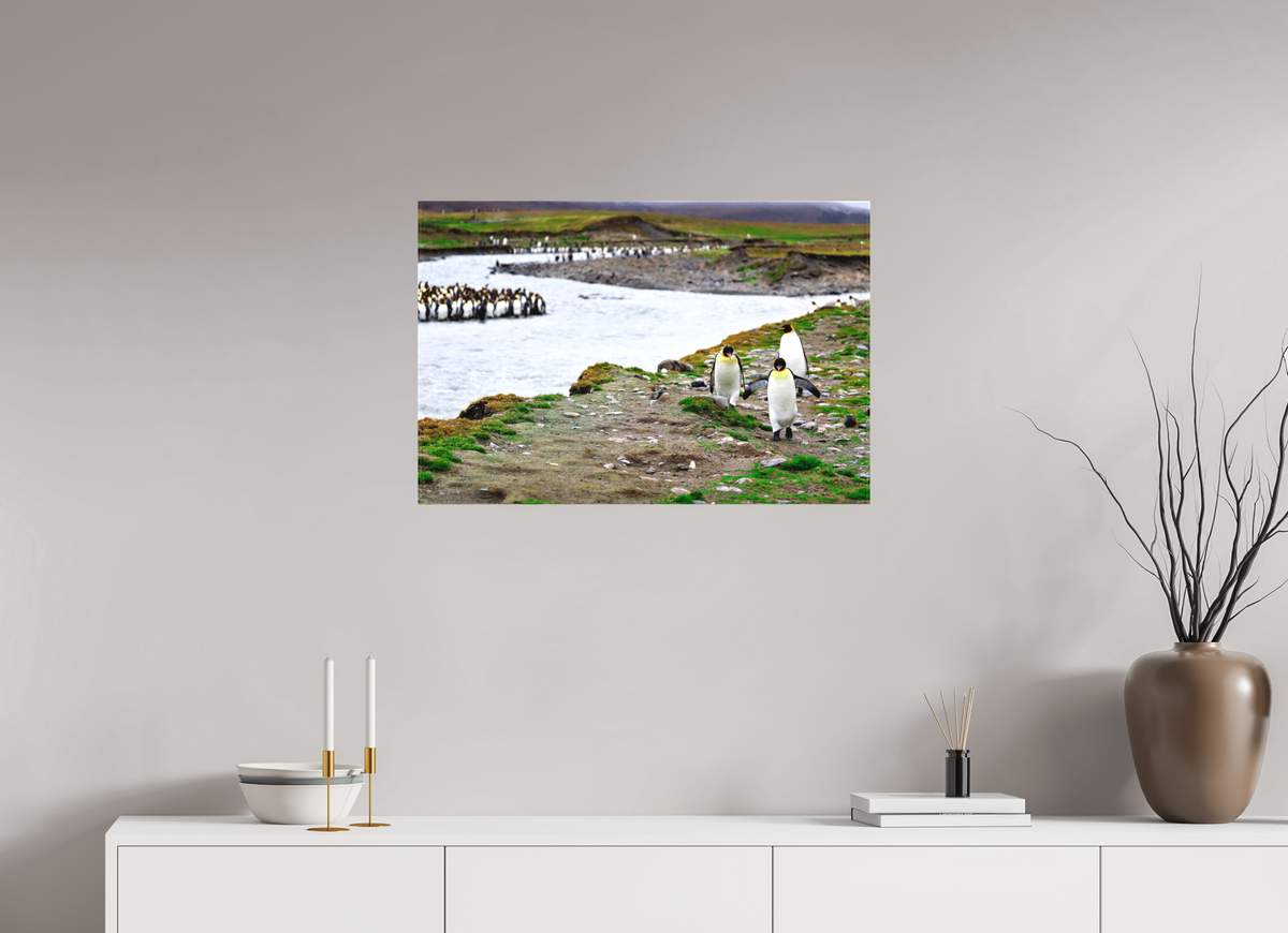 30 x 20″, Canvas Print A14