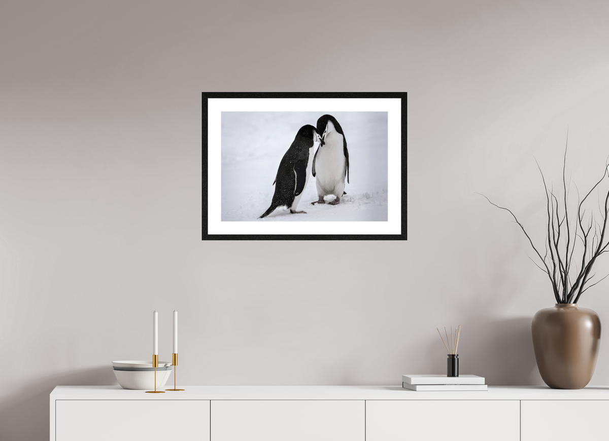 24 x 16″, Glossy Print (Framed) A5