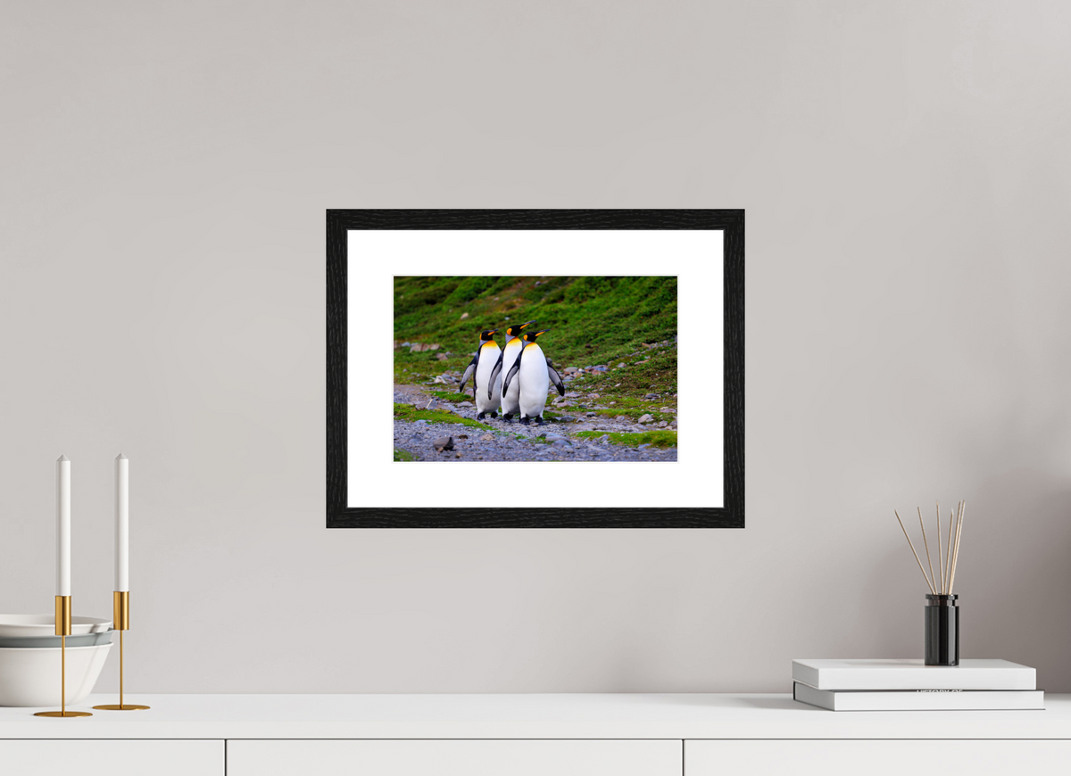 12 x 8″, Glossy Print (Framed) A18