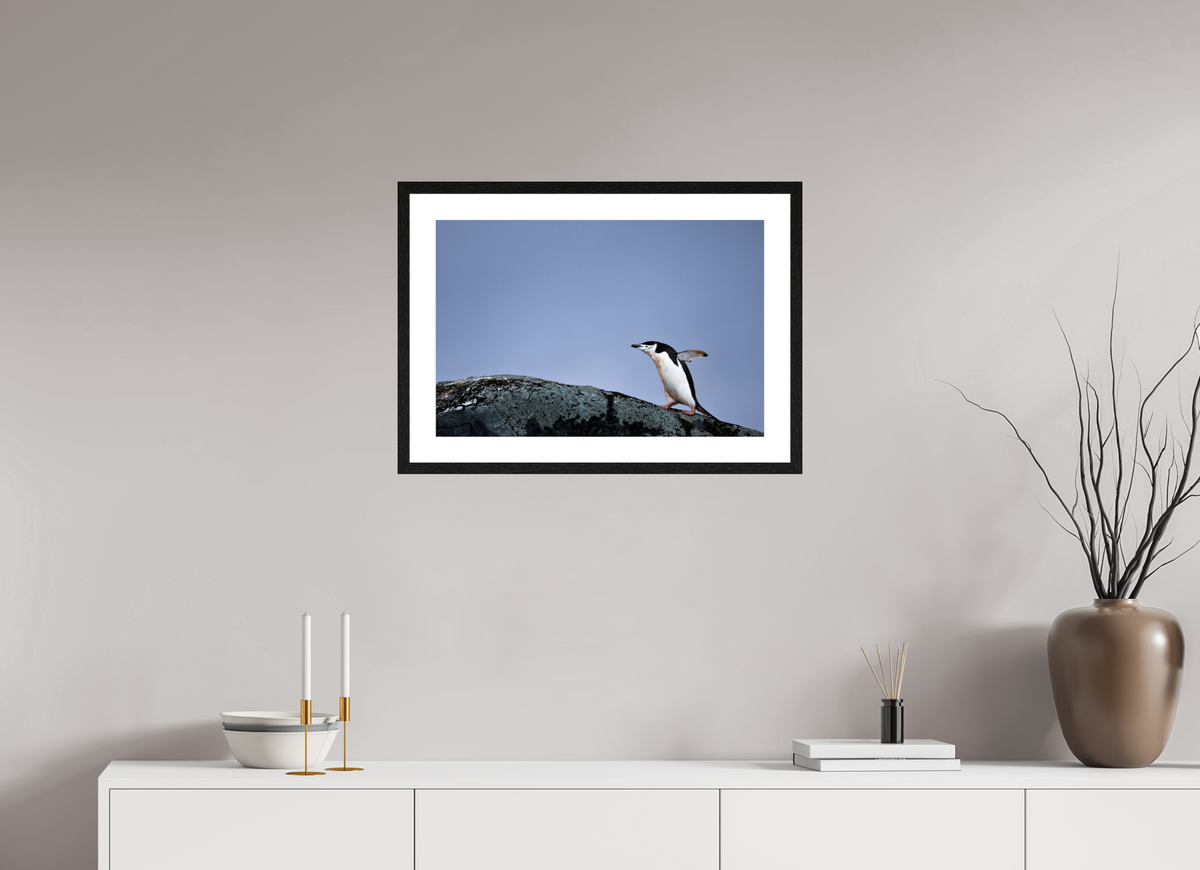 24 x 16″, Glossy Print (Framed) A7