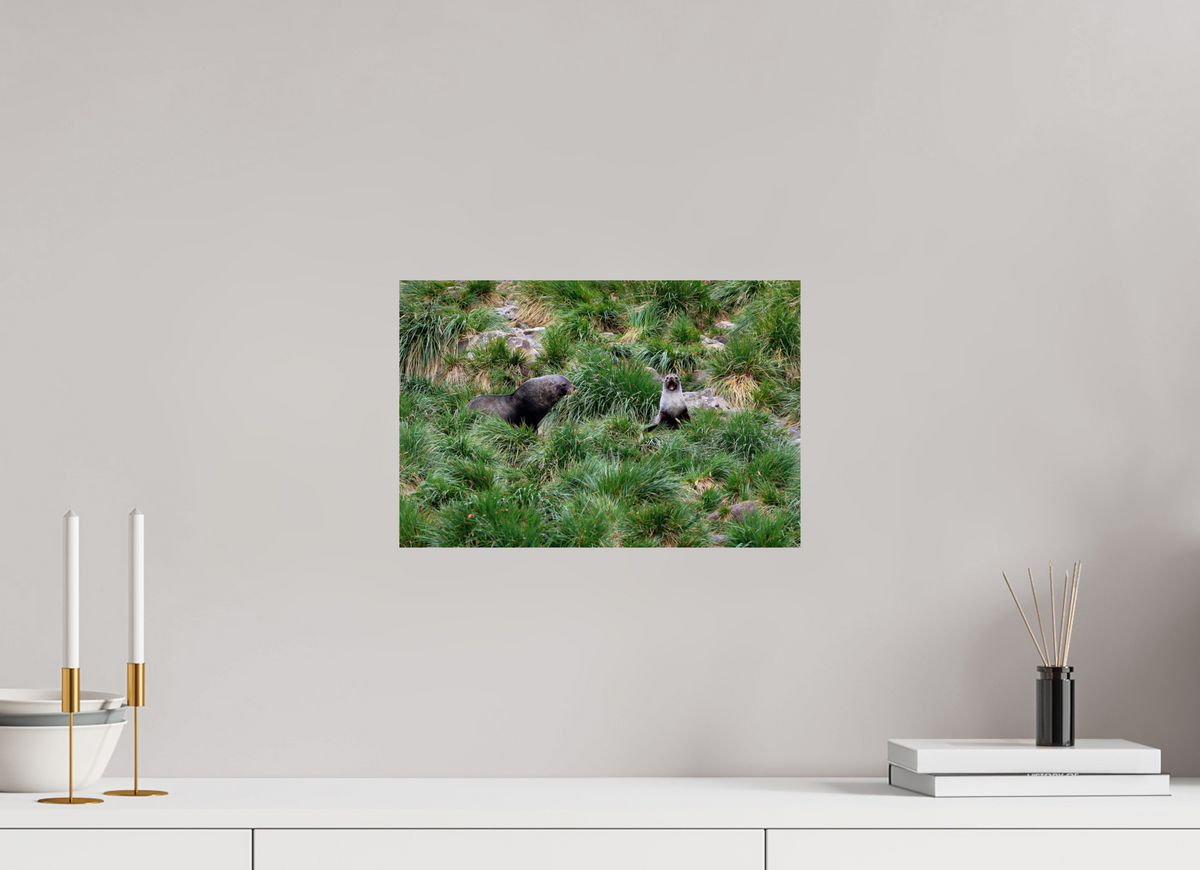 15 x 10″, Glossy Print (Unframed) A23