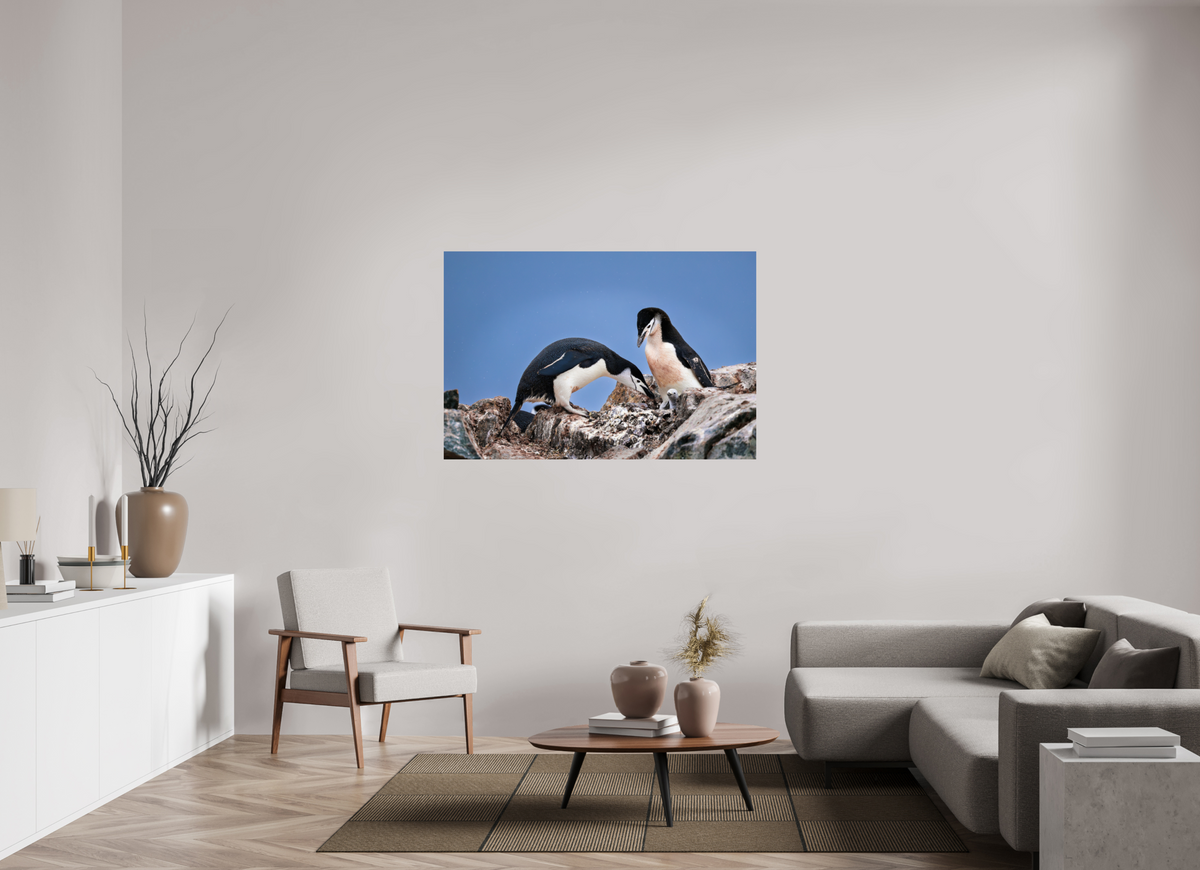 54 x 36″, Glossy Print (Unframed) A6
