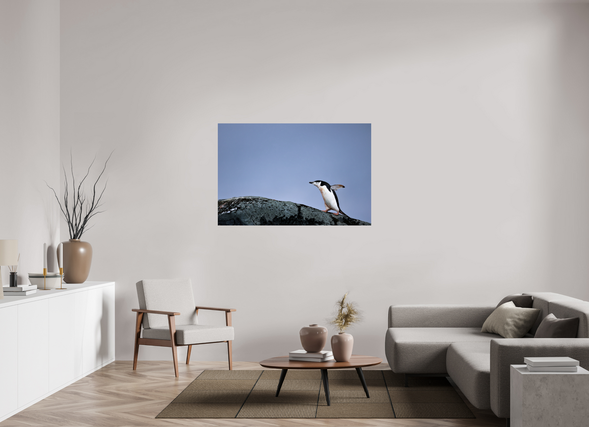 54 x 36″, Glossy Print (Unframed) A7