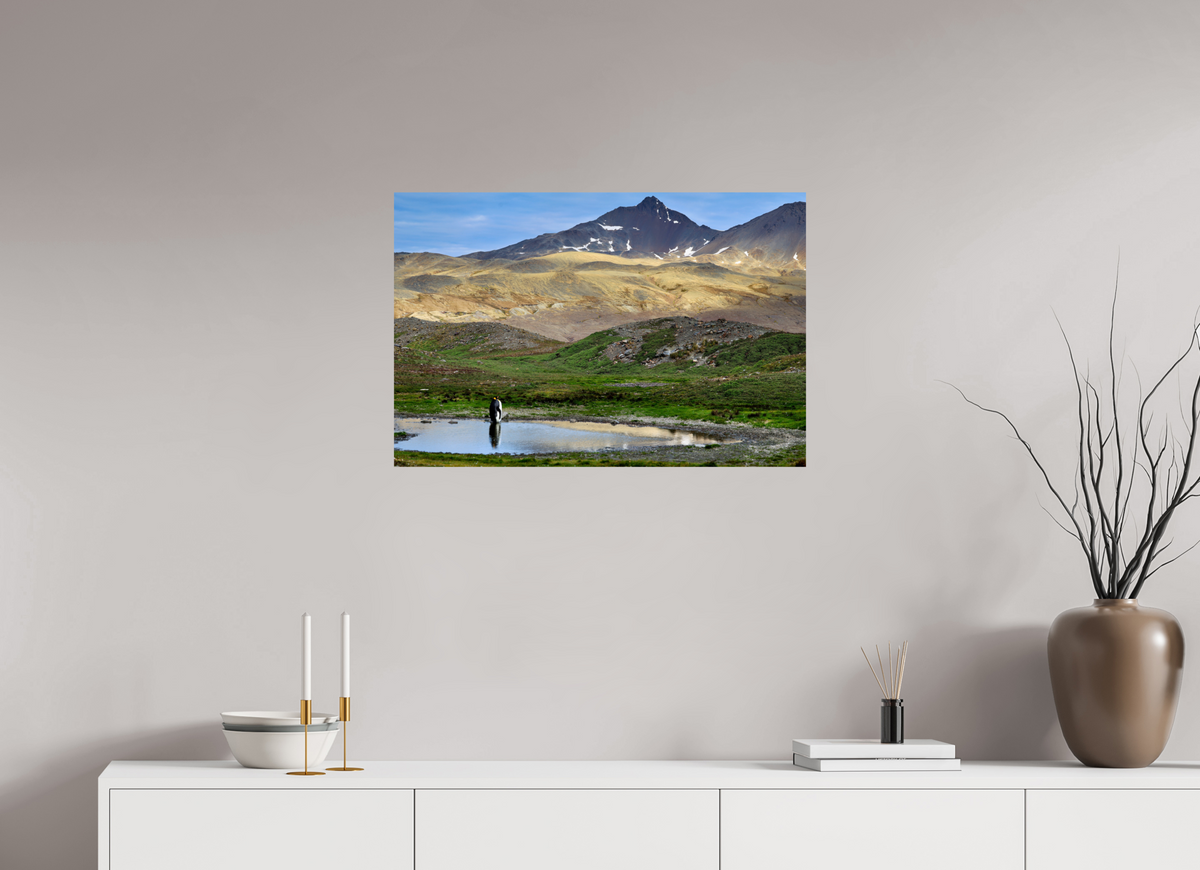 30 x 20″, Glossy Print (Unframed) A21