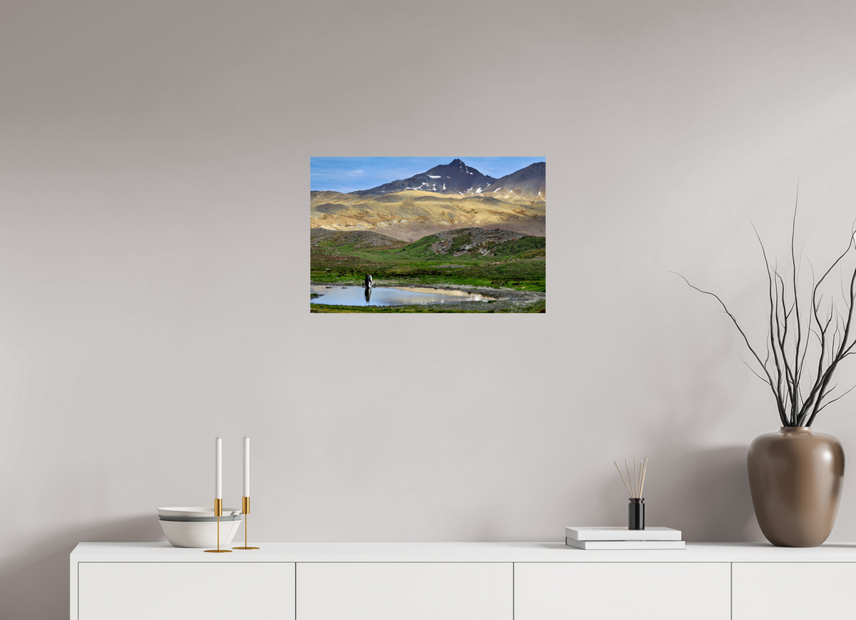 24 x 16″, Glossy Print (Unframed) A21