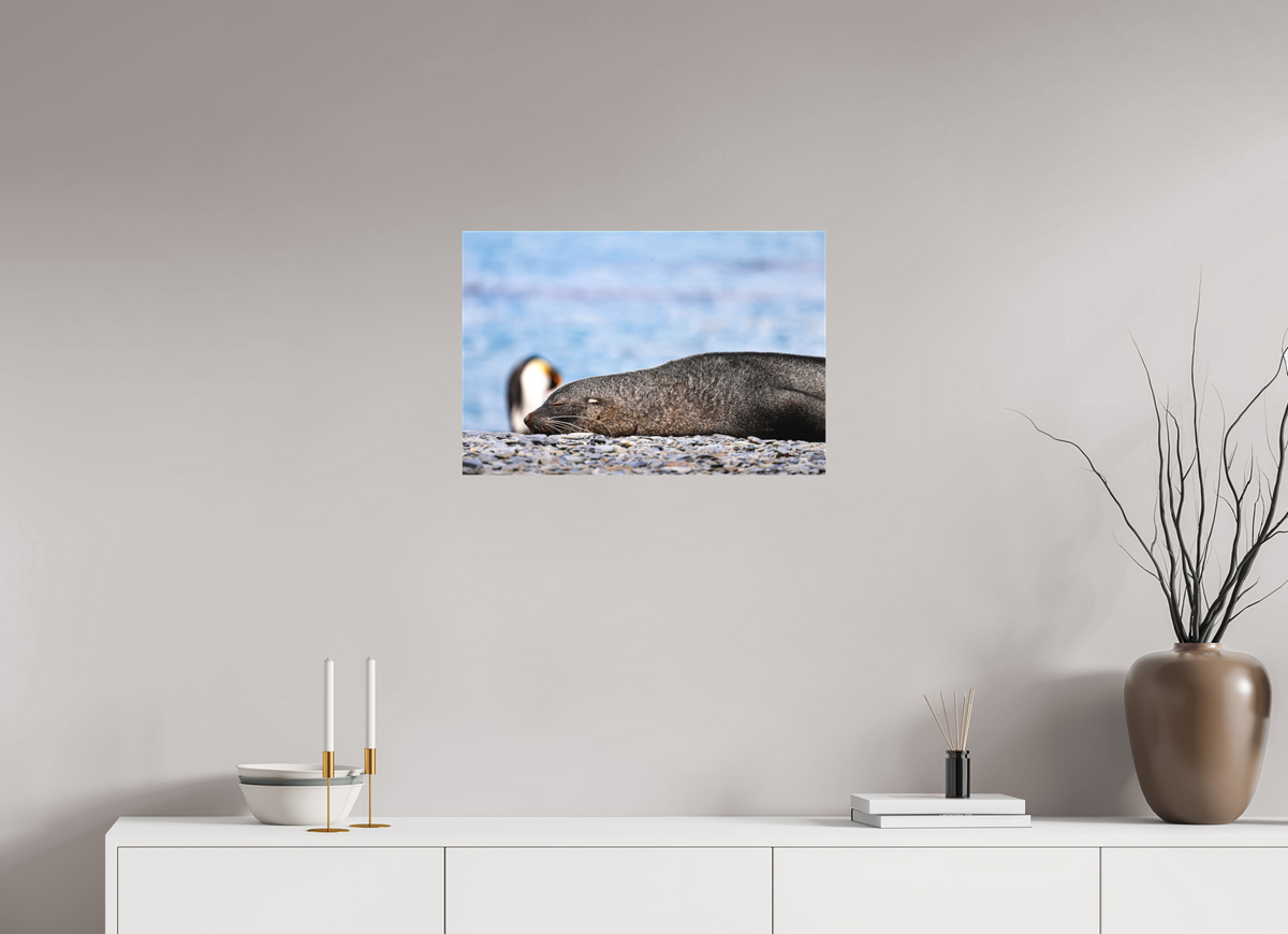 24 x 16″, Canvas Print A17