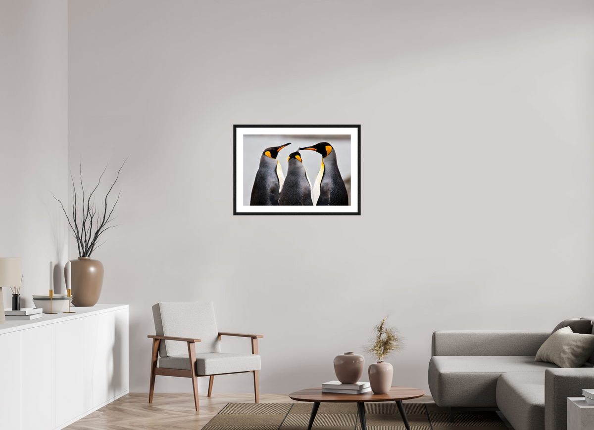 30 x 20″, Glossy Print (Framed) A12