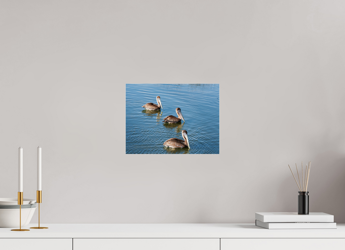 12 x 9″, Acrylic under Glass (Unframed) Triple Brown Pelican