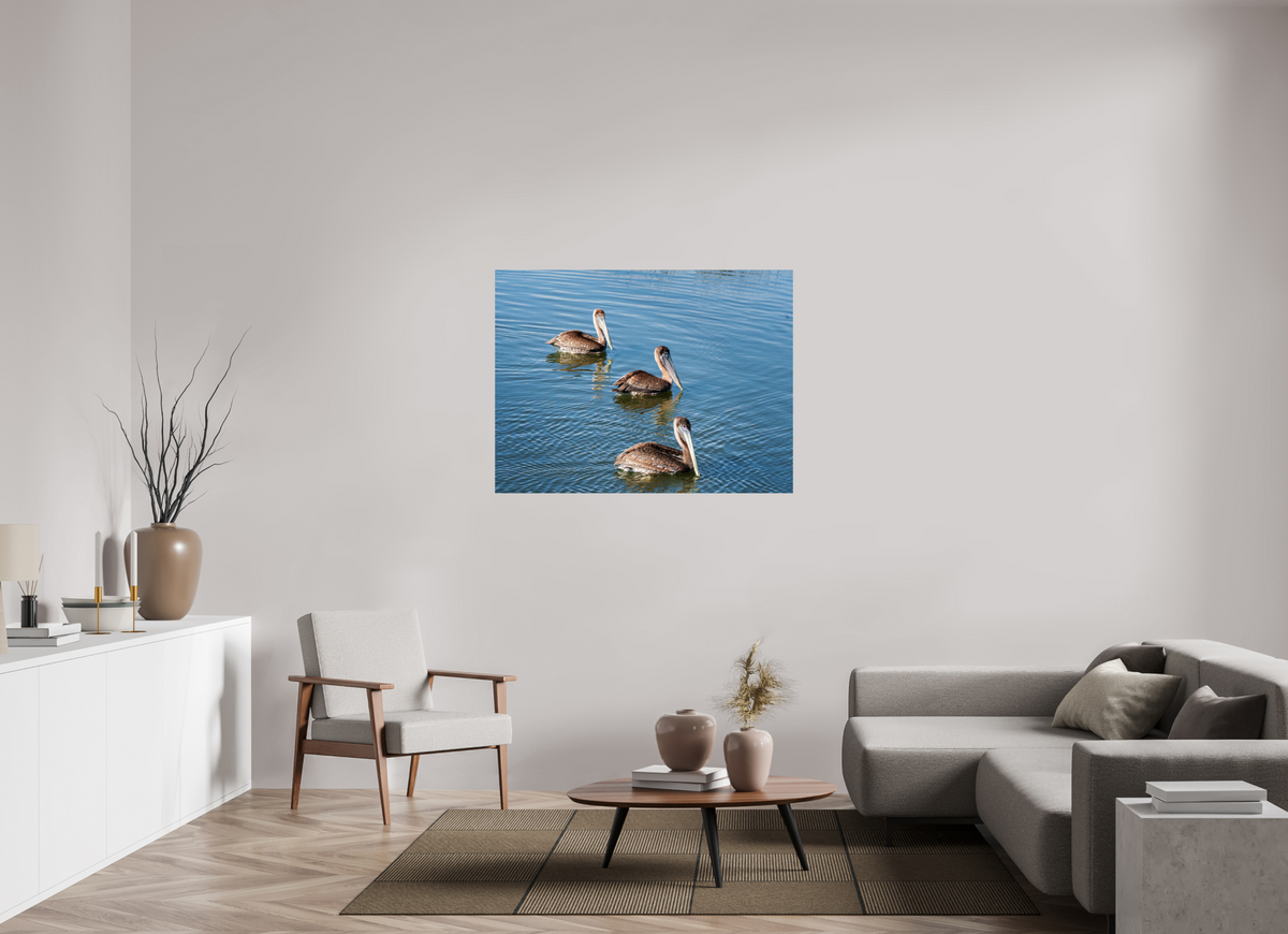 48 x 36″, Glossy Print (Unframed) Triple Brown Pelican