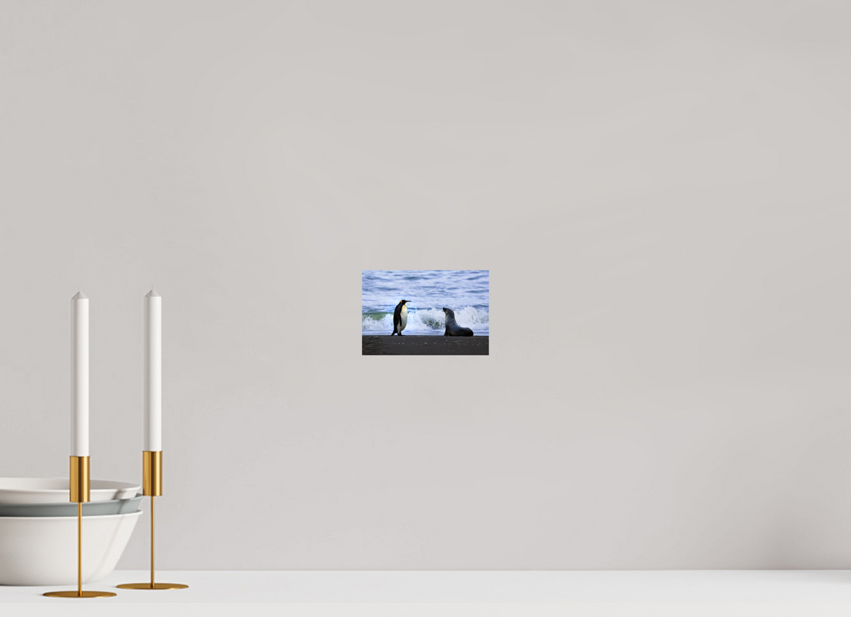 6 x 4″, Glossy Print (Unframed) A16