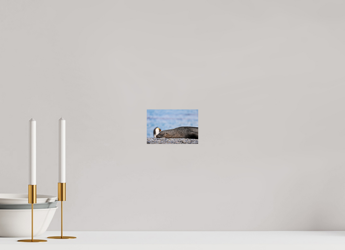 6 x 4″, Glossy Print (Unframed) A17