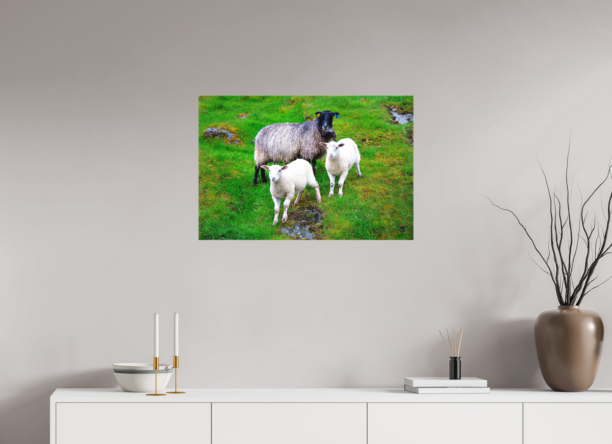 30 x 20″, Canvas Print Norway15
