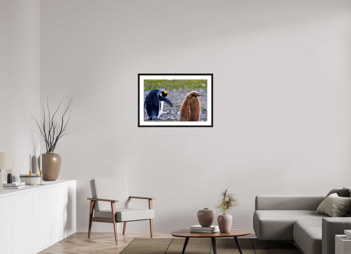 30 x 20″, Glossy Print (Framed) A19