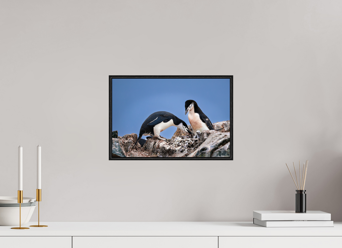 15 x 10″, Acrylic under Glass (Framed) A6