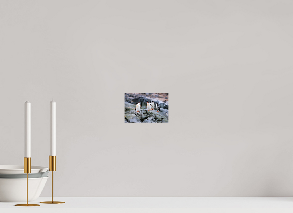 6 x 4″, Glossy Print (Unframed) A1