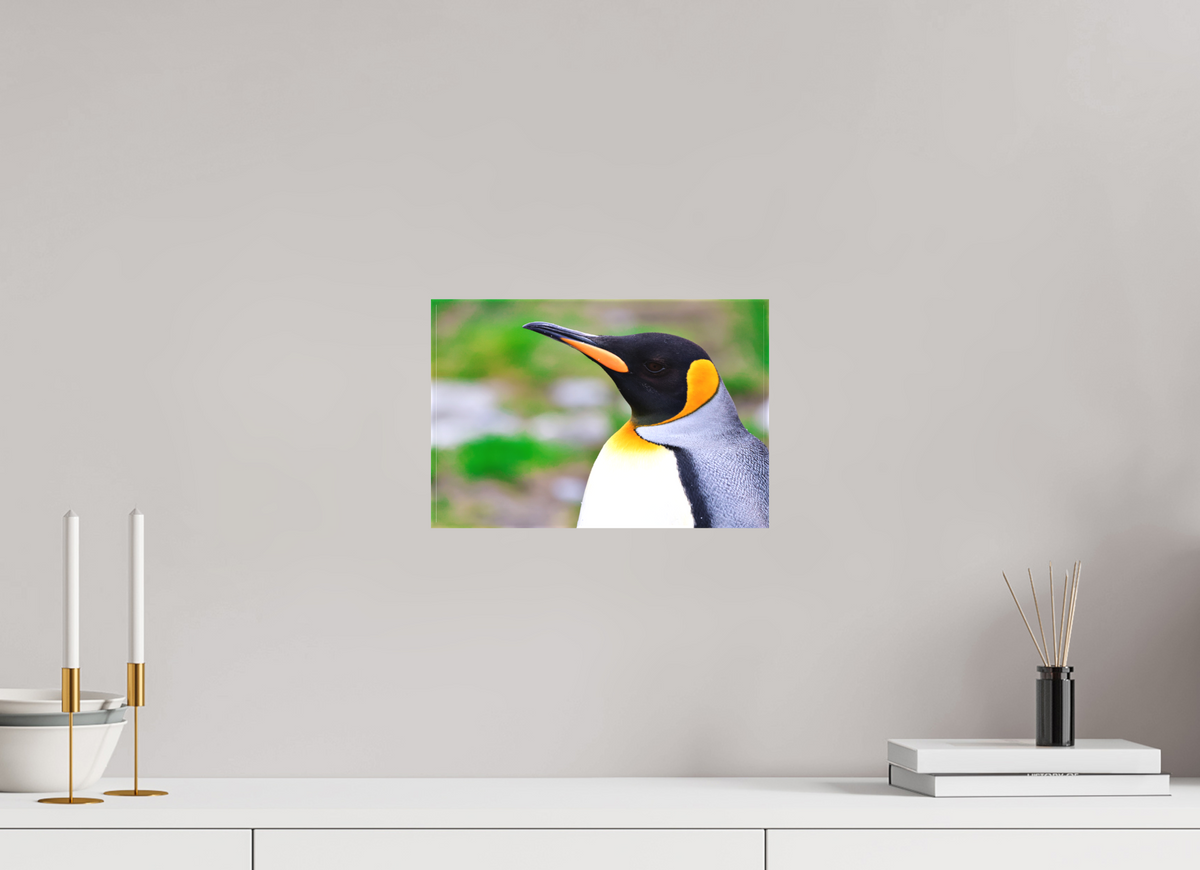 12 x 8″, Canvas Print A12