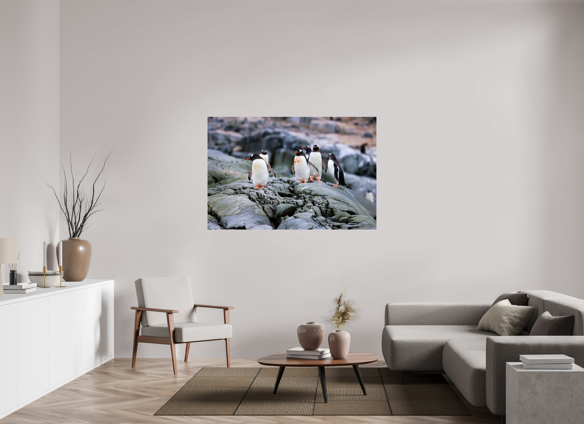 60 x 40″, Glossy Print (Unframed) A1