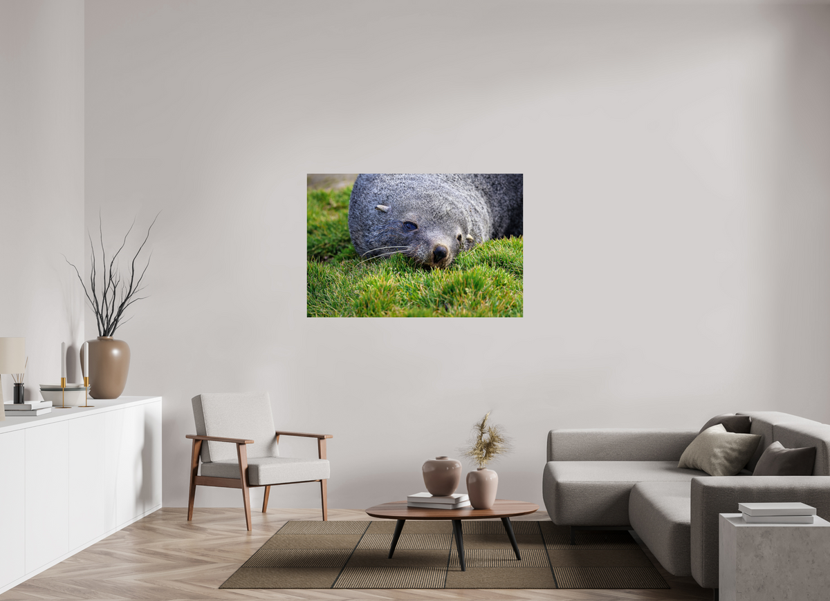 54 x 36″, Glossy Print (Unframed) A22