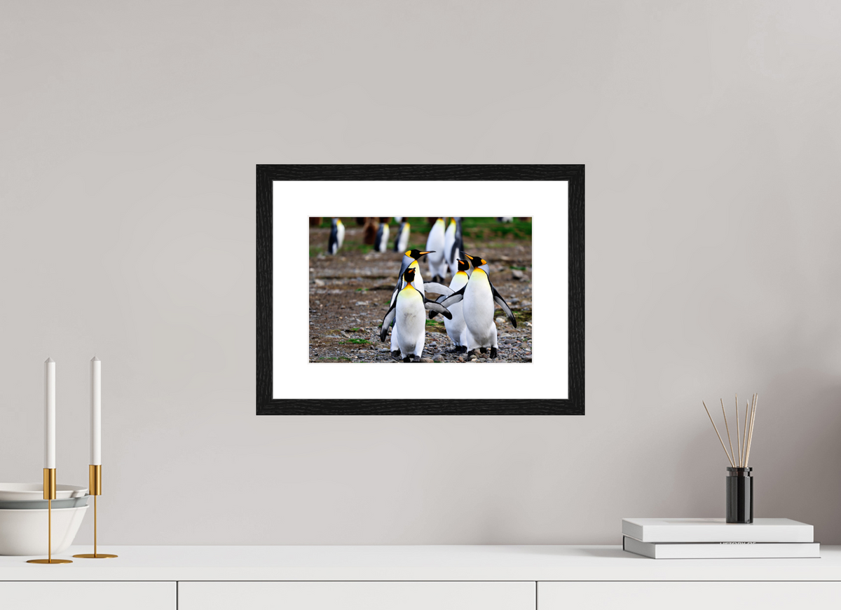 12 x 8″, Glossy Print (Framed) A20