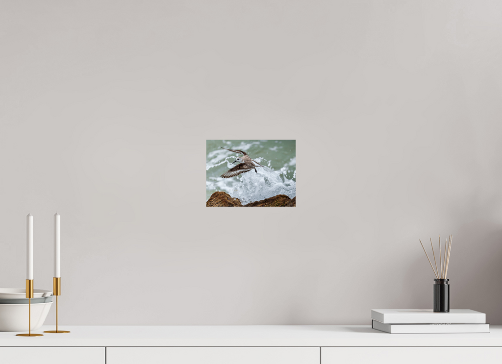8 x 6″, Glossy Print (Unframed) A Sanderling and the Ocean