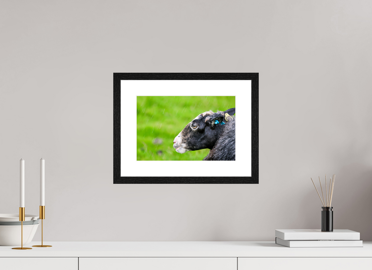 12 x 8″, Glossy Print (Framed) Norway14