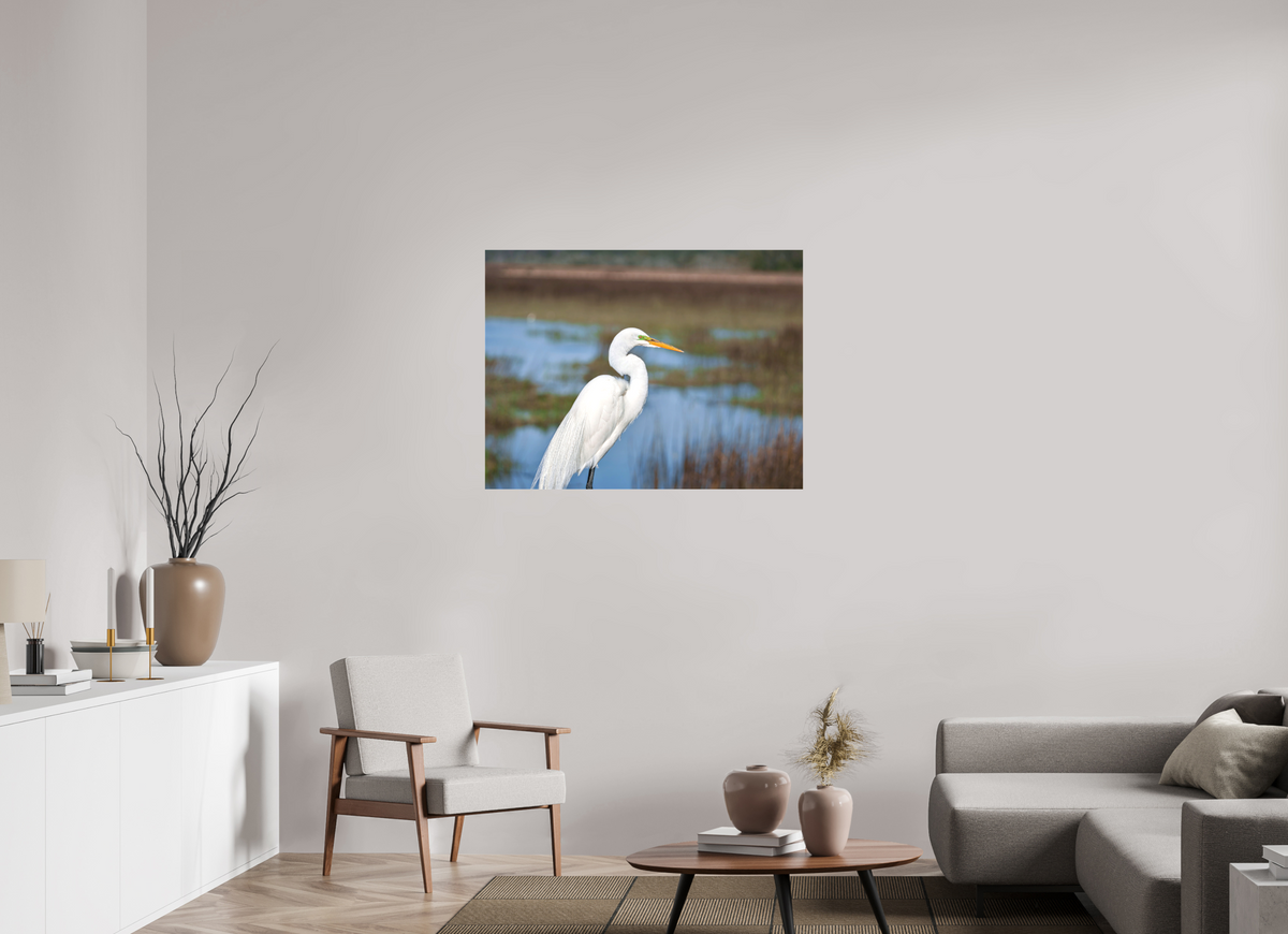 40 x 30″, Canvas Print A Great Egret