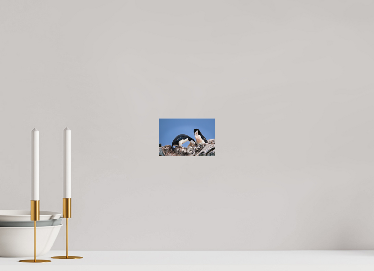 6 x 4″, Acrylic under Glass (Unframed) A6