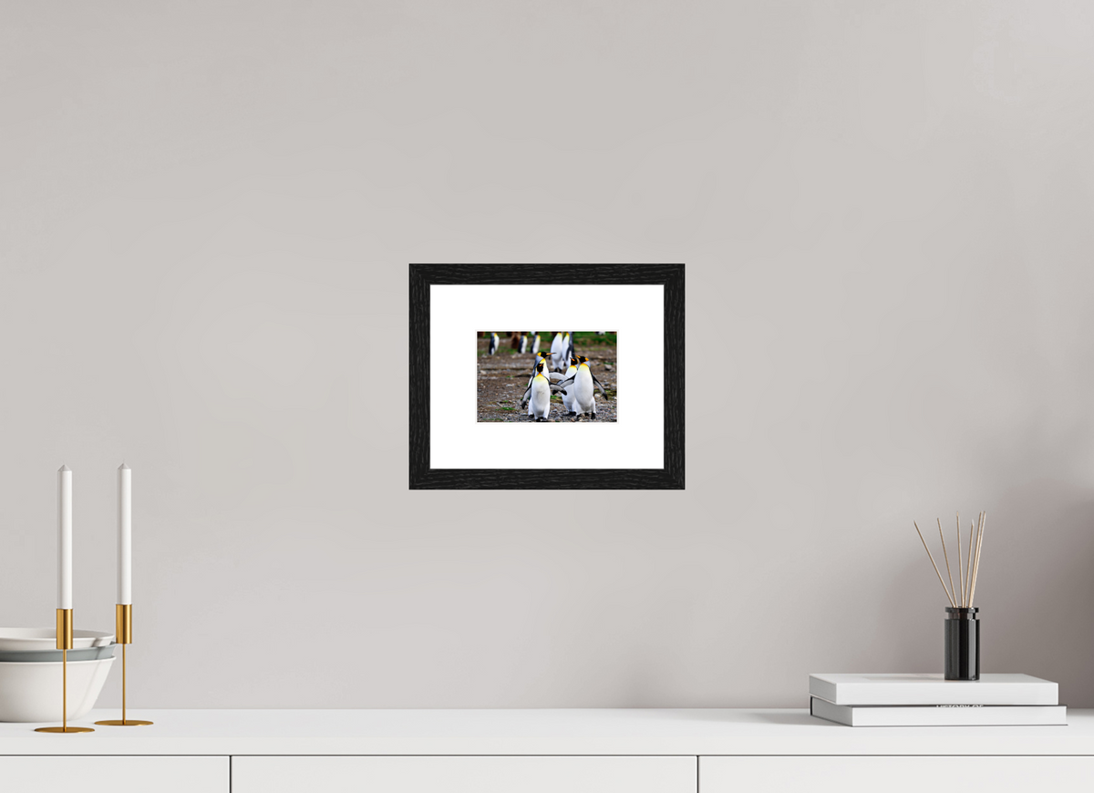 6 x 4″, Glossy Print (Framed) A20