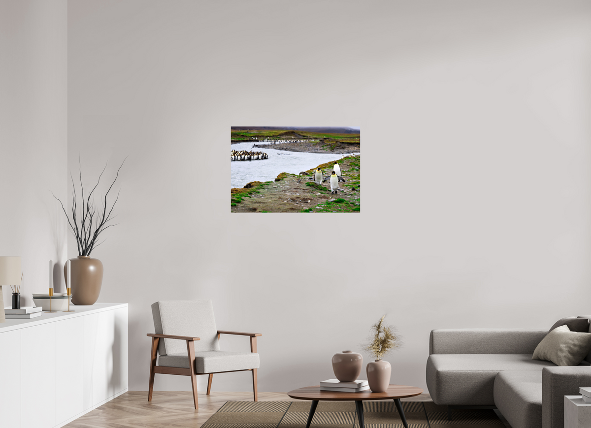 36 x 24″, Glossy Print (Unframed) A14