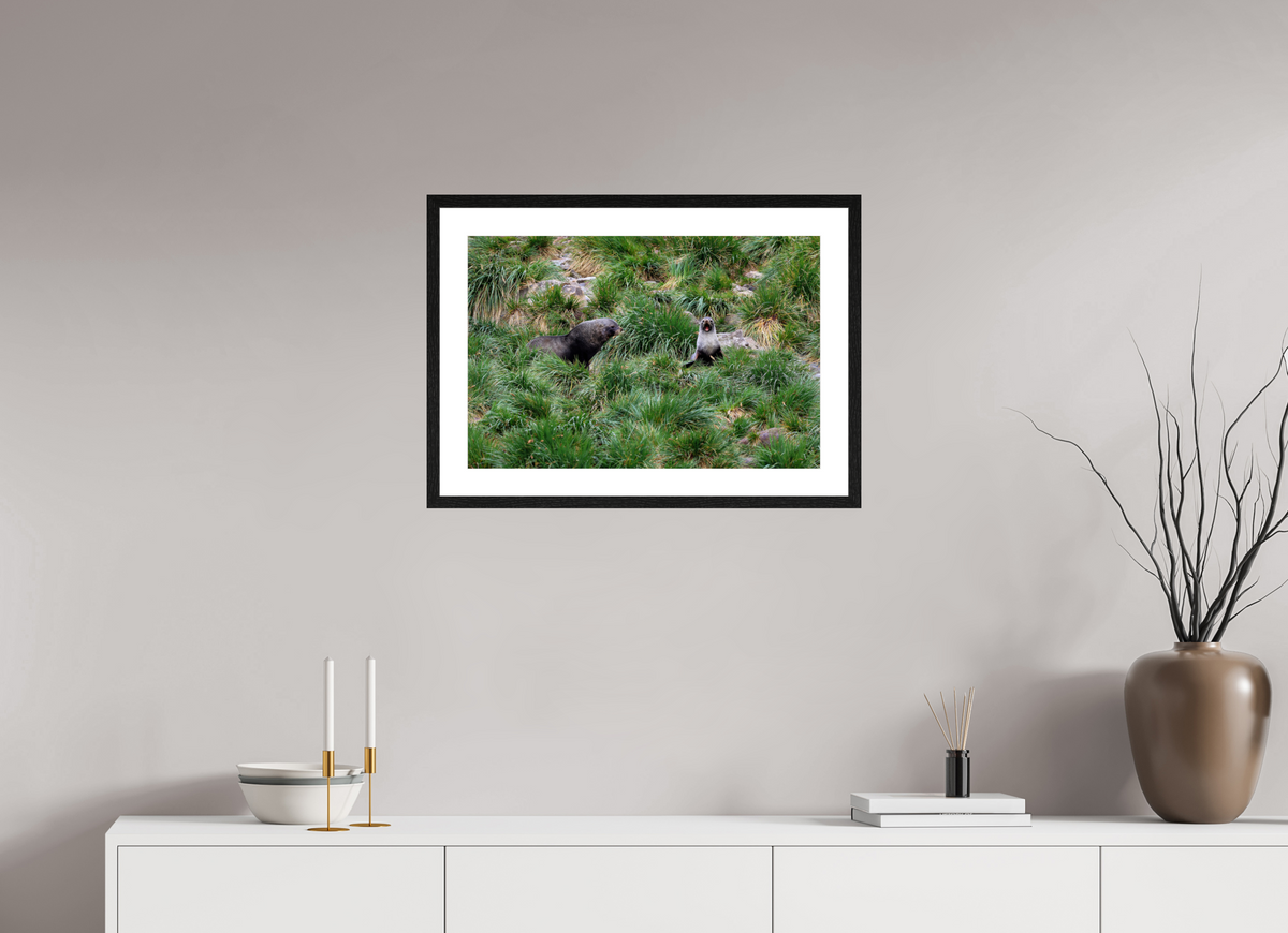 24 x 16″, Glossy Print (Framed) A23