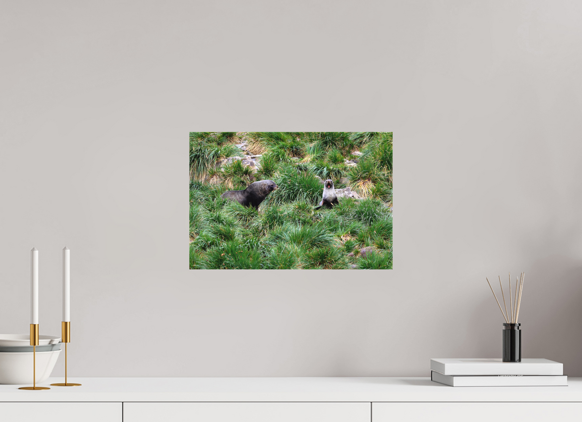 15 x 10″, Canvas Print A23