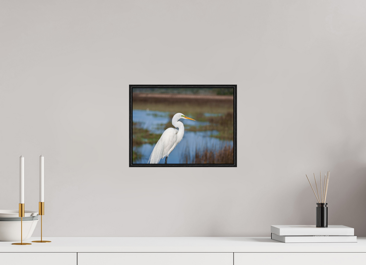12 x 9″, Acrylic under Glass (Framed) A Great Egret